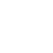 play icon